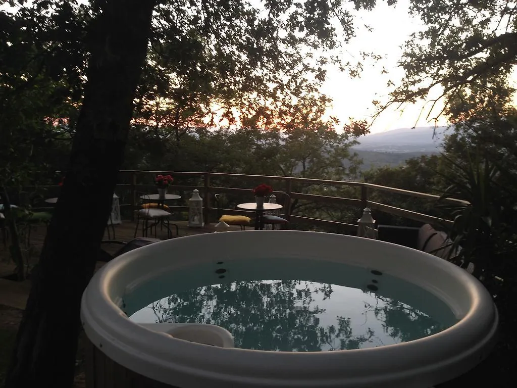 Farm stay Agriturismo Borgo Nuovo Di Mulinelli Arezzo Italy