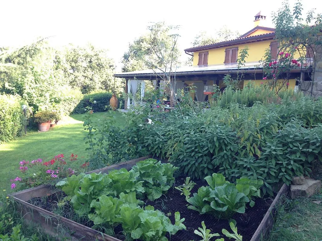 Agriturismo Borgo Nuovo Di Mulinelli Arezzo