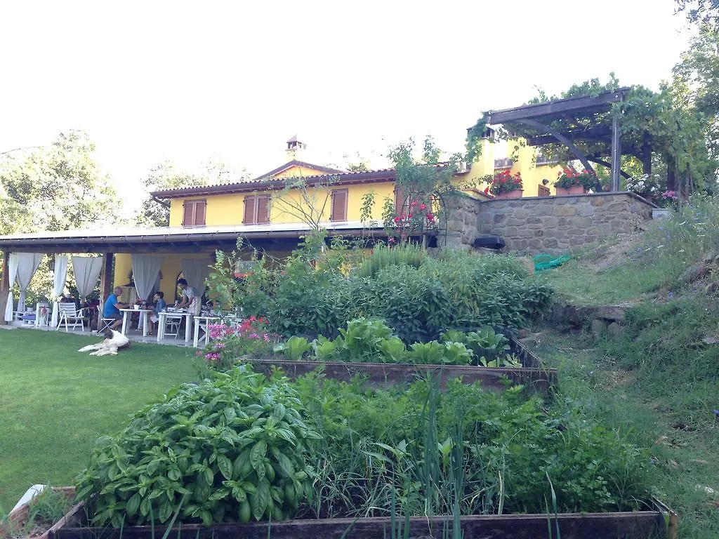 Farm stay Agriturismo Borgo Nuovo Di Mulinelli Arezzo