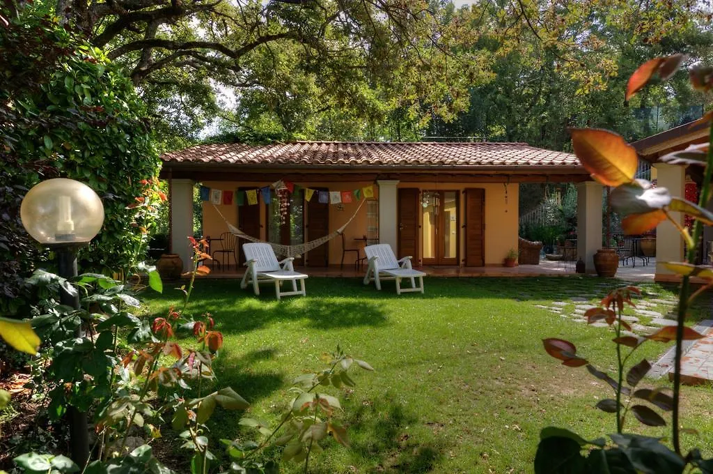 Farm stay Agriturismo Borgo Nuovo Di Mulinelli Arezzo Italy